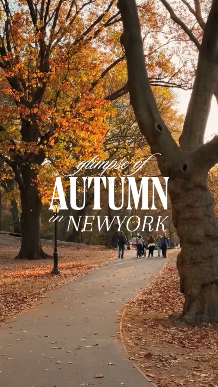 Autumn cinematic