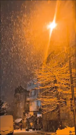 Bıraktın Neden Ansız