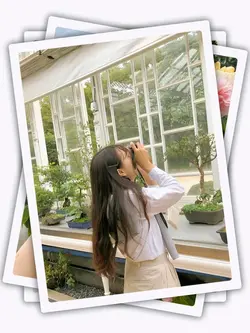 8Pic Clip Transition