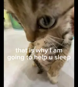 lullaby
