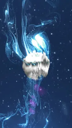 compound portrait ¹⁷