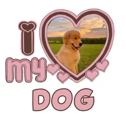 I love my dog