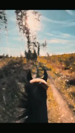 Cheval 