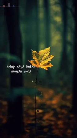 SONG VIRAL