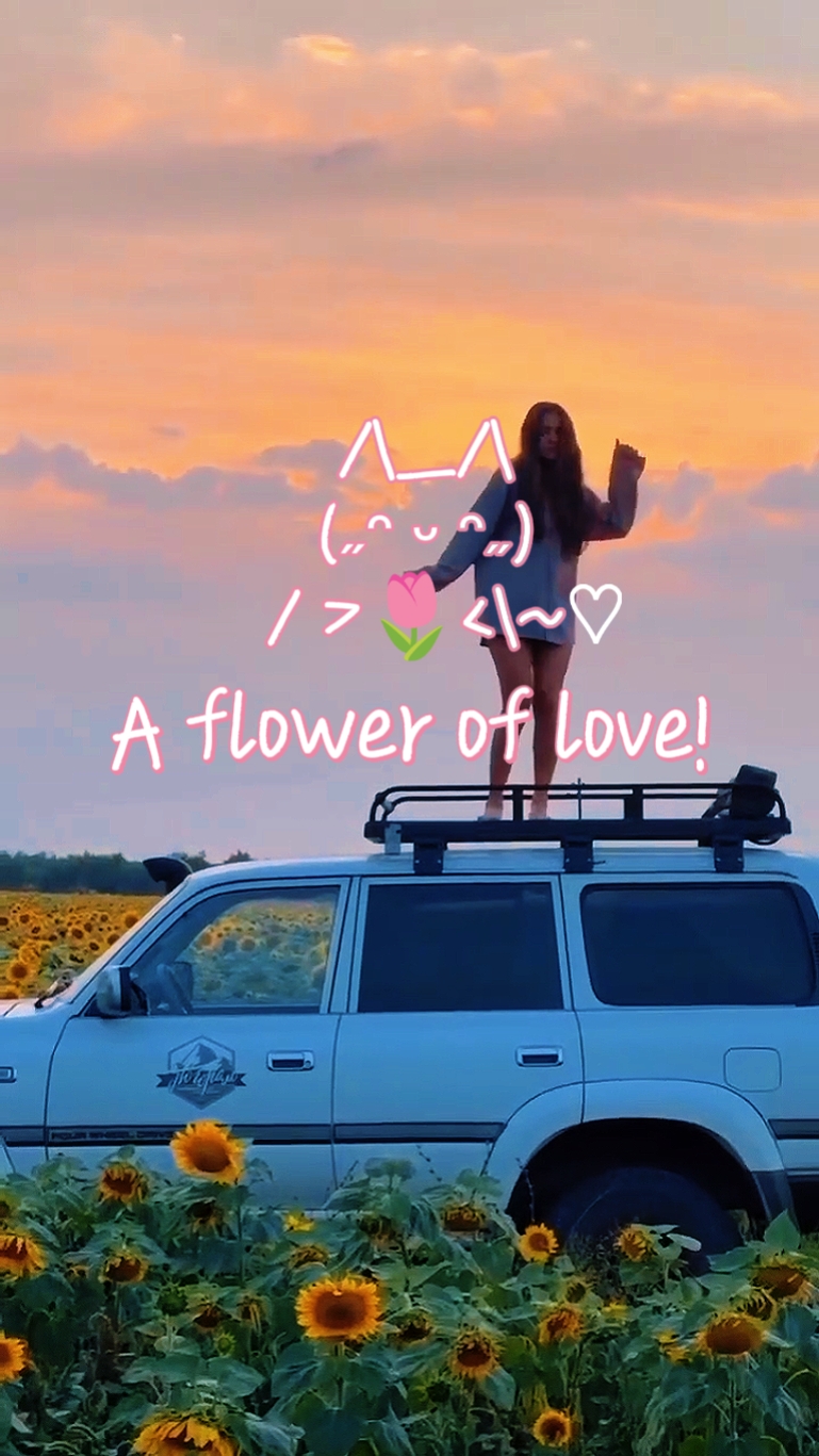 HISTORIA DE AMOR DE FLORES