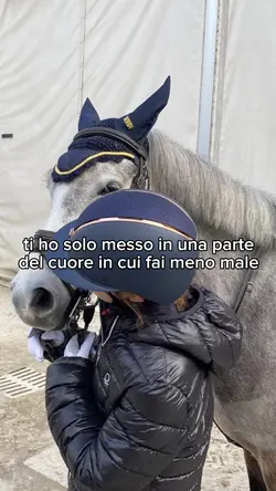 eclipse❤️‍🩹‼️FAKE HORSE‼️