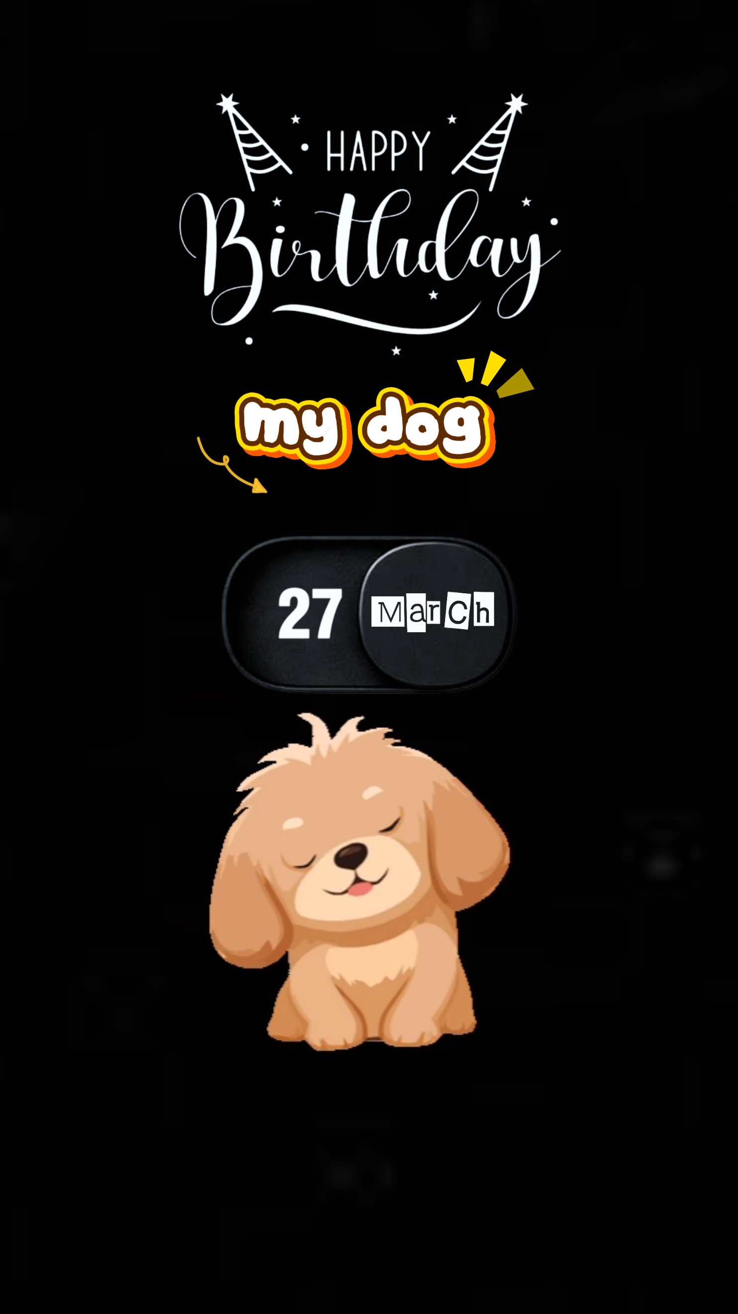 Birthday my dog
