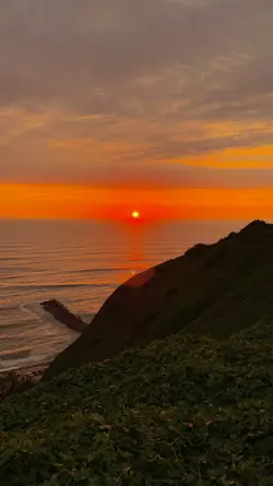 Filter senja