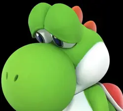 Poor yoshi 