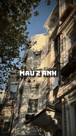 Mẫu 2 ảnh