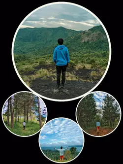 Aesthetic Frame/Grid