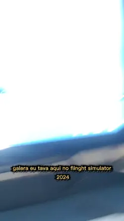 flinght simulator 