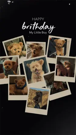 Dog Birthday 💋🫶