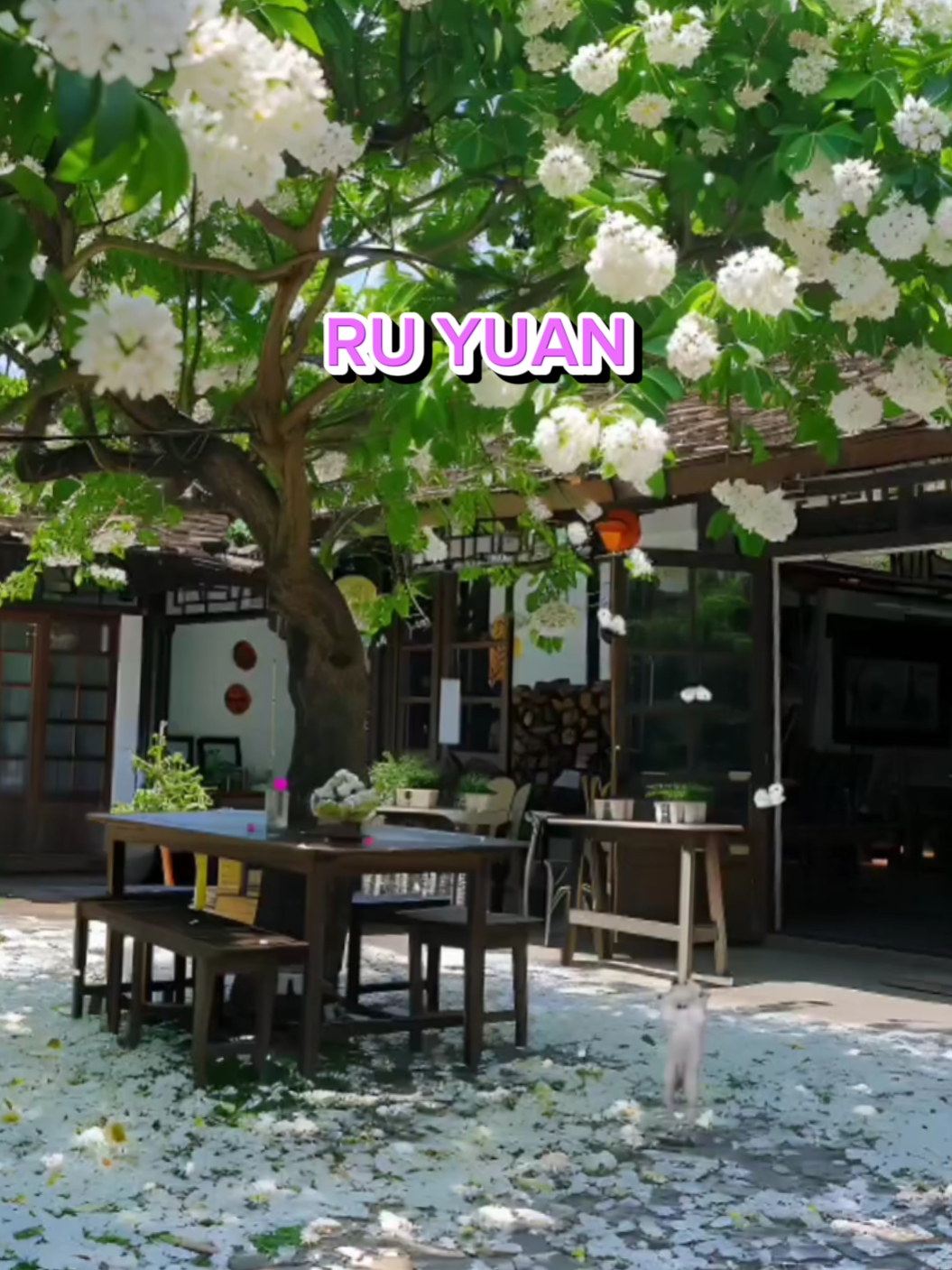 Ru Yuan