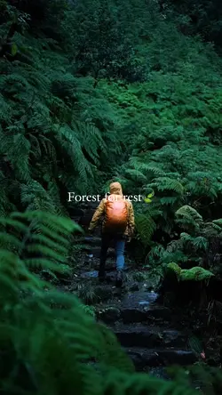 Forest for rest🍃