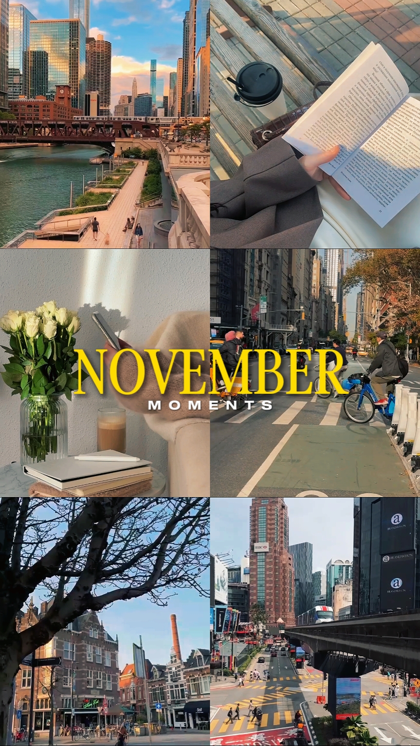 Momentos de novembro