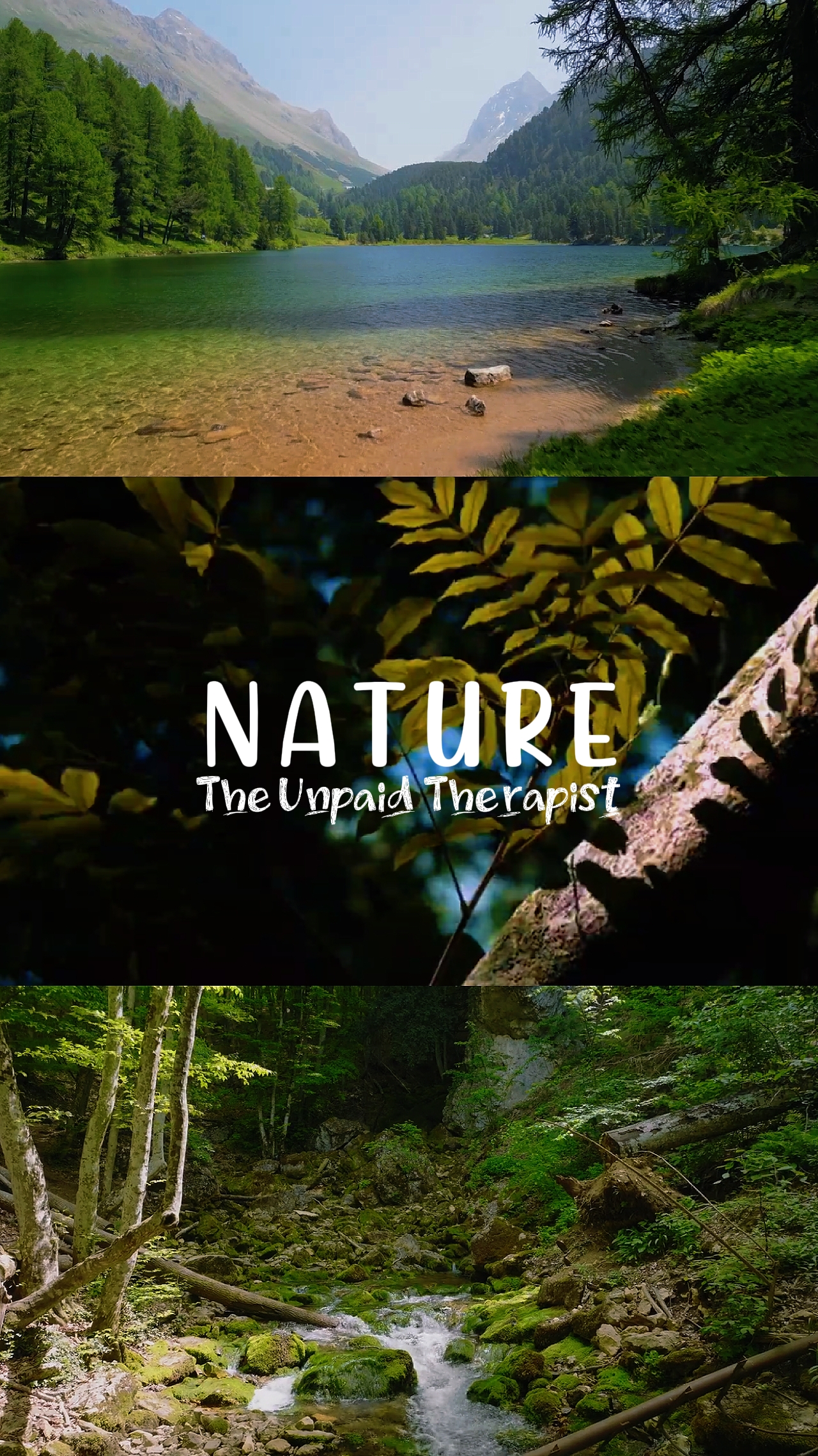 NATURE