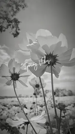 Spring Vibes