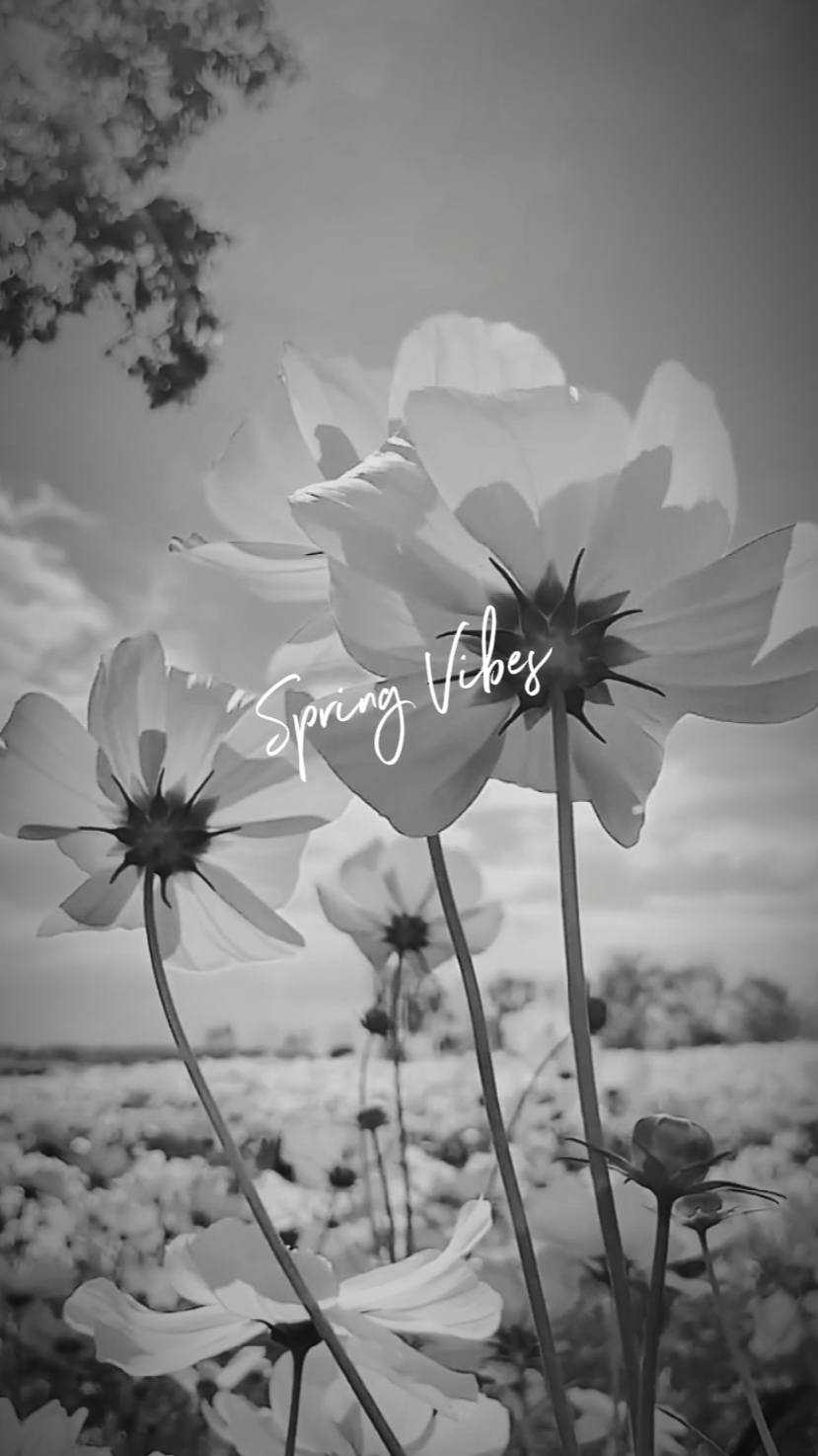 Vibras de primavera