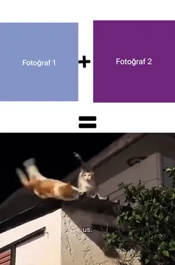 Cat core
