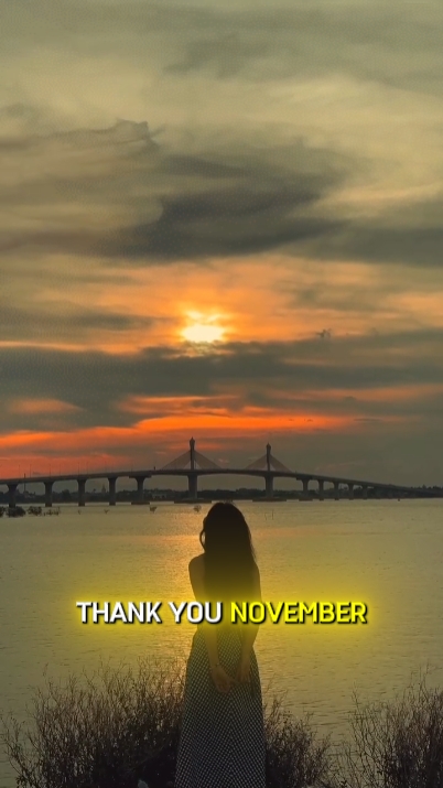 Obrigado novembro 