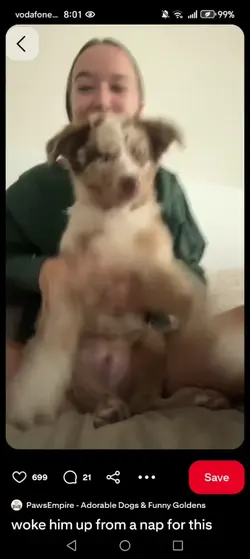 Love my dog