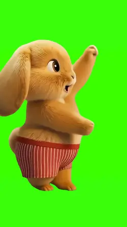 Cute Bunny Dancing