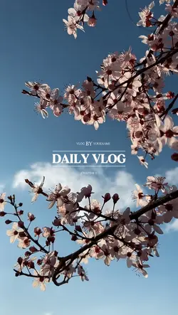 Daily vlog 