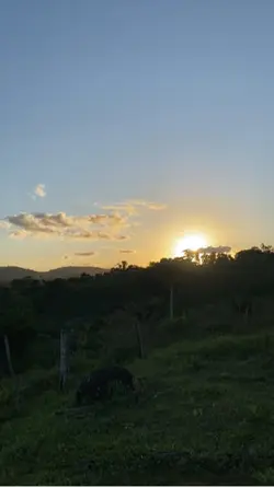 Amo meu nordeste
