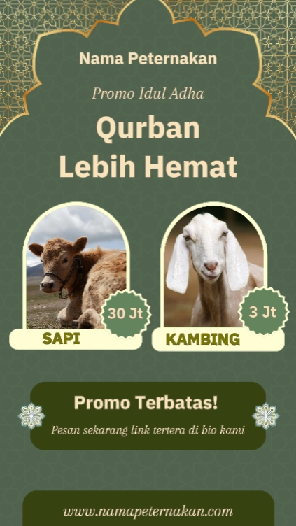 promo hewan qurban