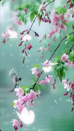 벚꽃 봄 예쁜 템플릿 FYP