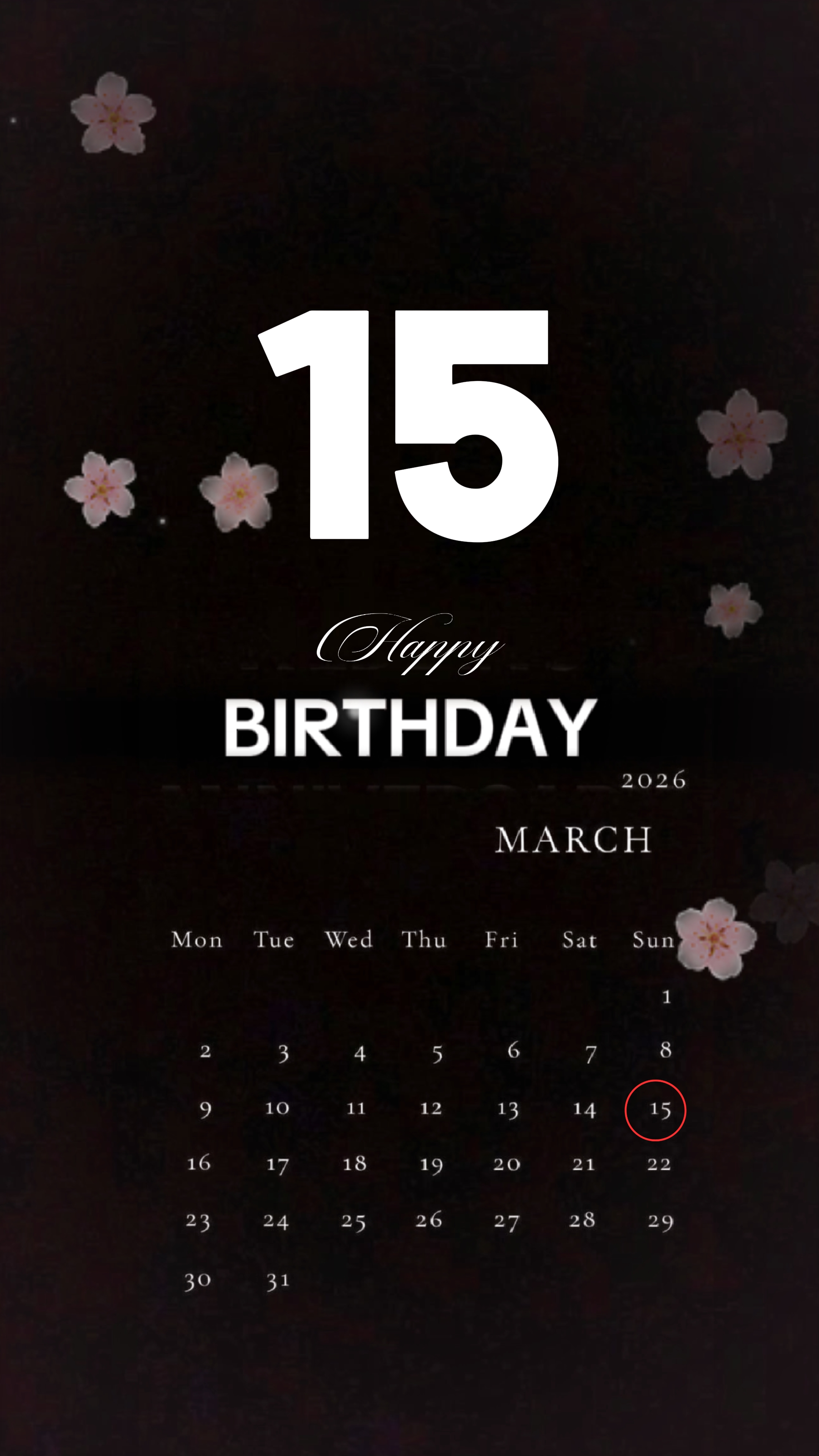 Anniversaire 15 mars 