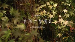 自然の雰囲気