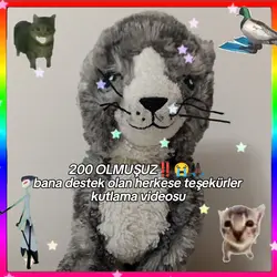 NEEE 200 MÜ