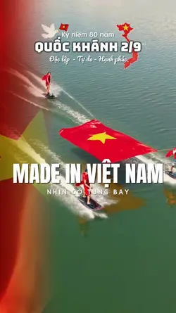 Made in việt nam