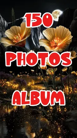 150 Photos Album 