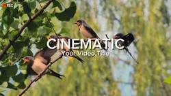 CINEMATIC