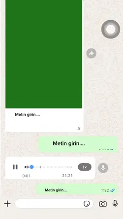 Fake Chat/Sahte Mesa