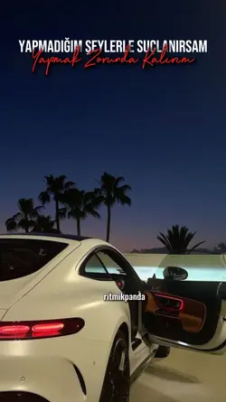 yapmak zorunda kalır