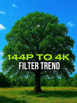 144p Vs 4k Trend