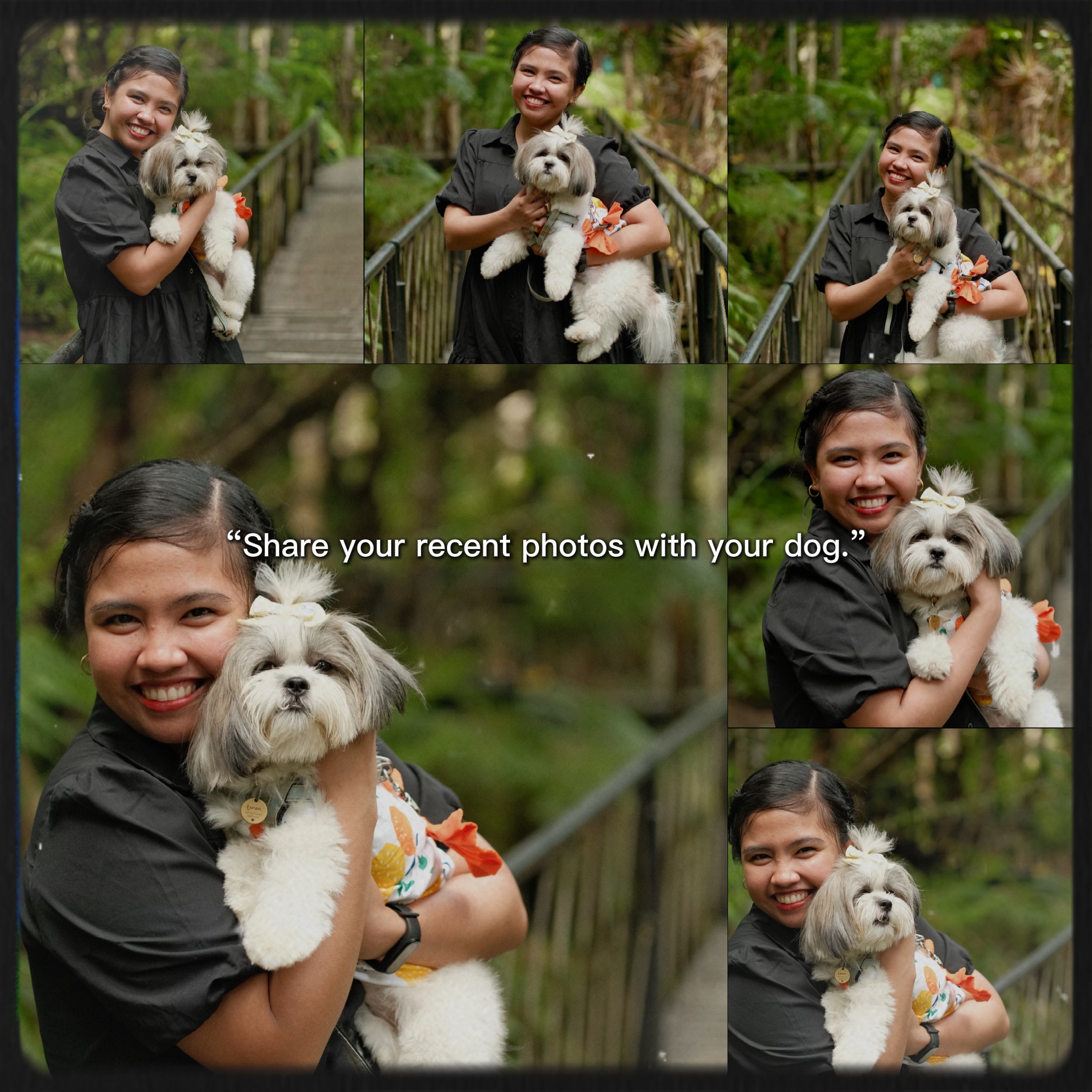 Fotos con de tu perro