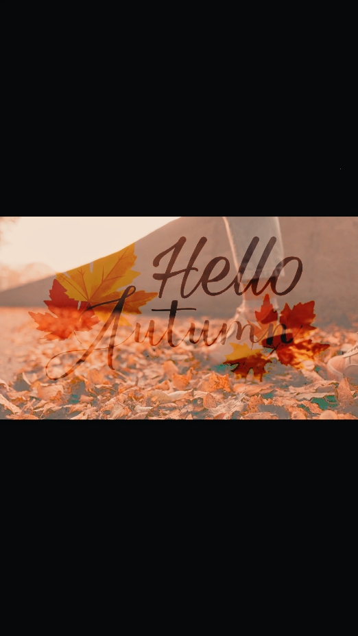 Bonjour l'automne 
