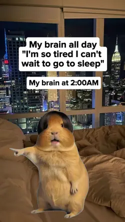 Brain in 2am