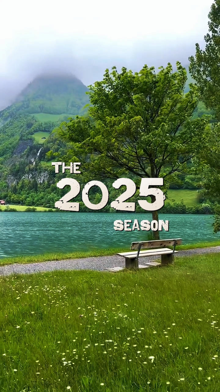 Resumen de 2025