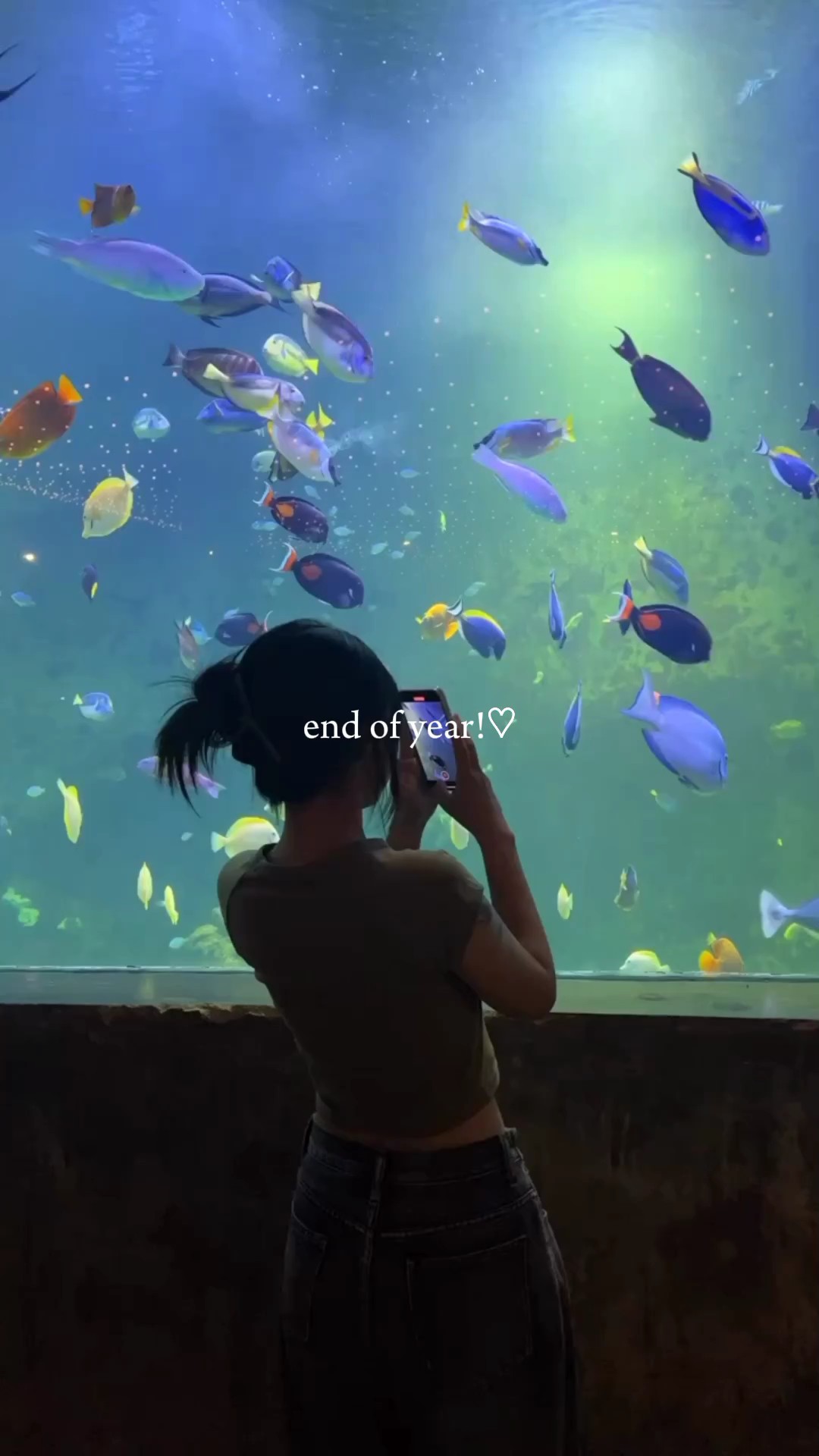 2023 요약