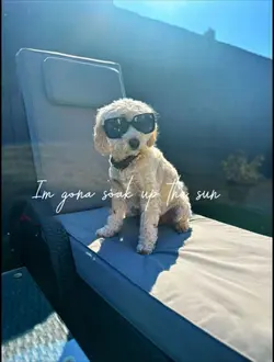 Soak up the sun 
