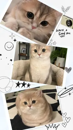 3pics to use