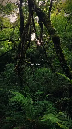 nature
