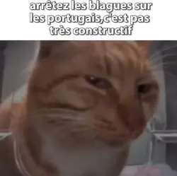 pas très constructif