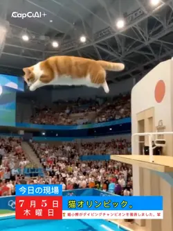 ai飛び込み選手の猫